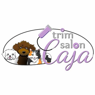 logo met beeldmerk